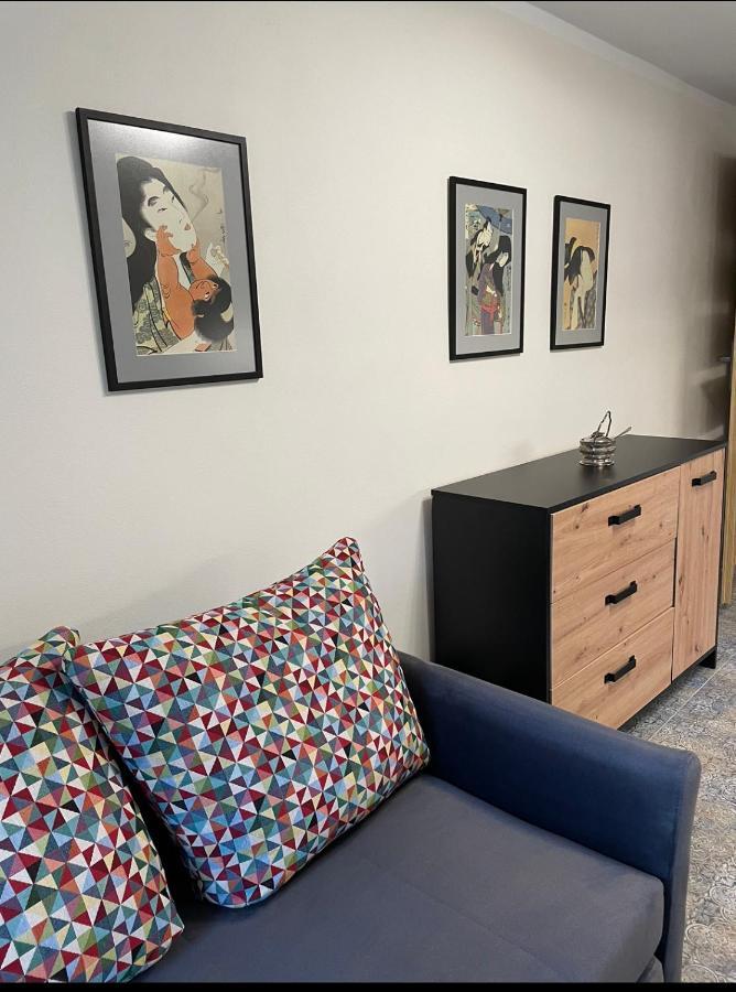Apartament Pod Brzozami Plawna  ภายนอก รูปภาพ